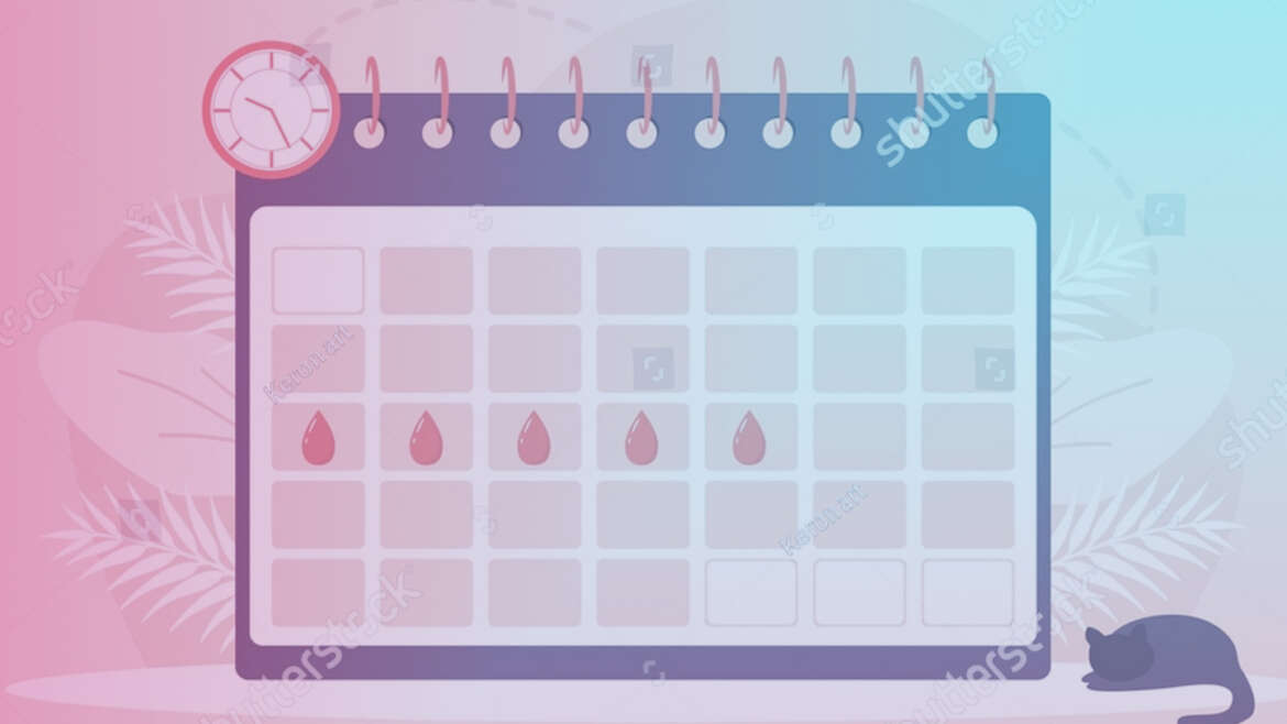 Gynécologie médicale